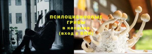 каннабис Гусиноозёрск