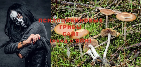 трава Гусев