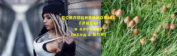 каннабис Гусиноозёрск