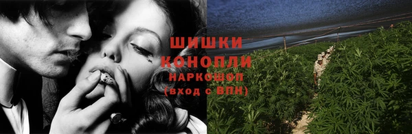 трава Гусев