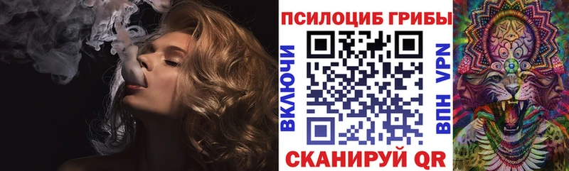 Псилоцибиновые грибы ЛСД  Купить закладки  Терек 